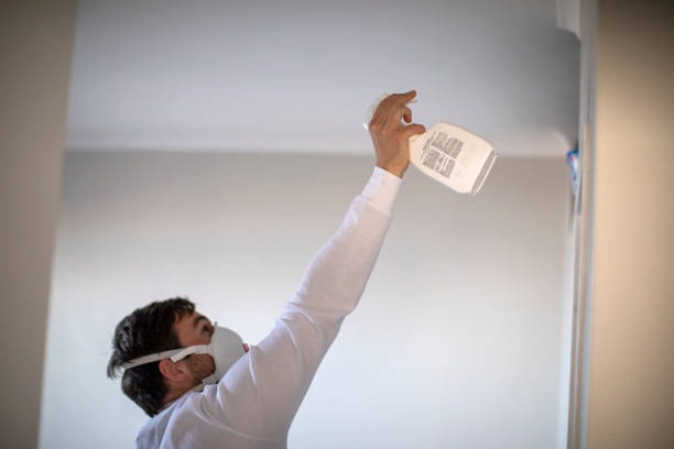 Best Mold Cleaning Services  in Nampa, ID