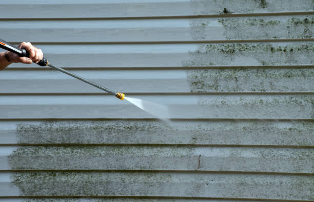 Best Toxic Mold Removal  in Nampa, ID