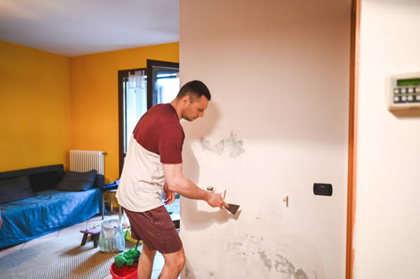 Office Mold Removal Services in Nampa, ID